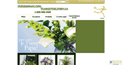 Desktop Screenshot of fleursomax.com